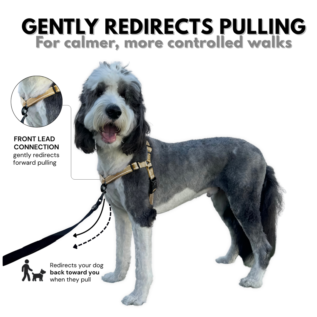 ShawnCo Dream Walk Pro Dog Harness