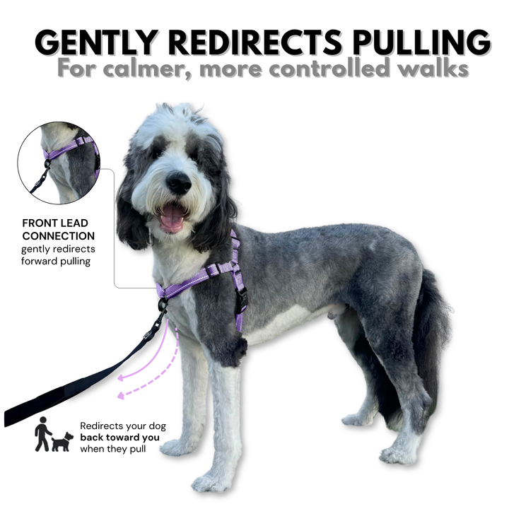 ShawnCo Dream Walk Pro Dog Harness