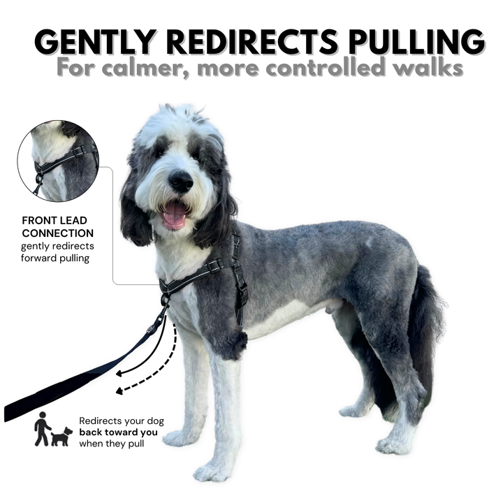 ShawnCo Dream Walk Pro Dog Harness