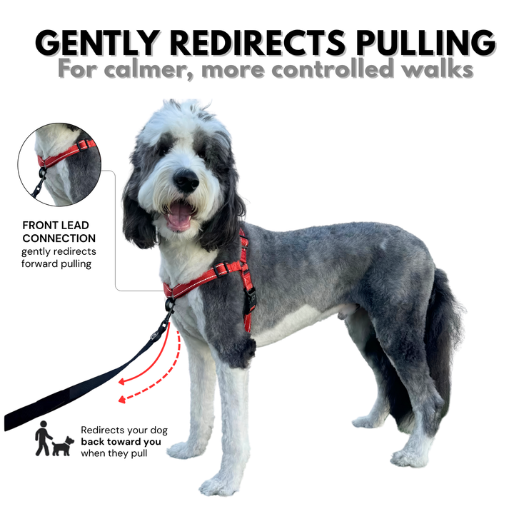 ShawnCo Dream Walk Pro Dog Harness