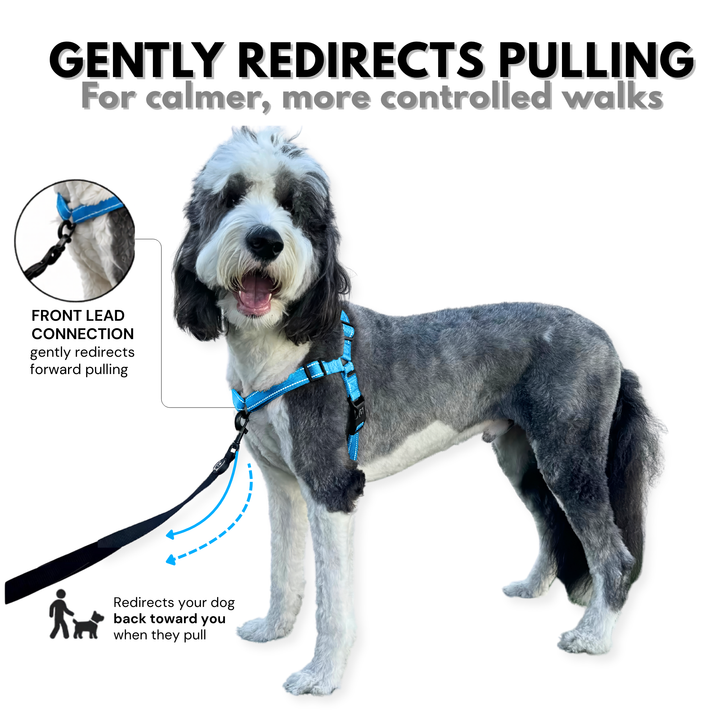 ShawnCo Dream Walk Pro Dog Harness
