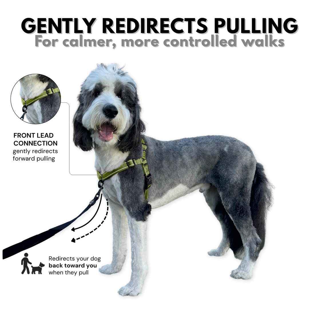 ShawnCo Dream Walk Pro Dog Harness