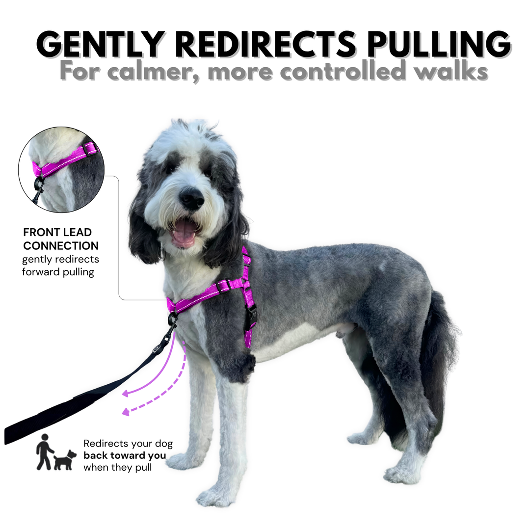 ShawnCo Dream Walk Pro Dog Harness