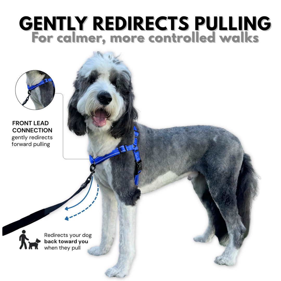ShawnCo Dream Walk Pro Dog Harness