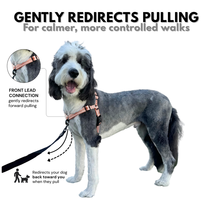 ShawnCo Dream Walk Pro Dog Harness
