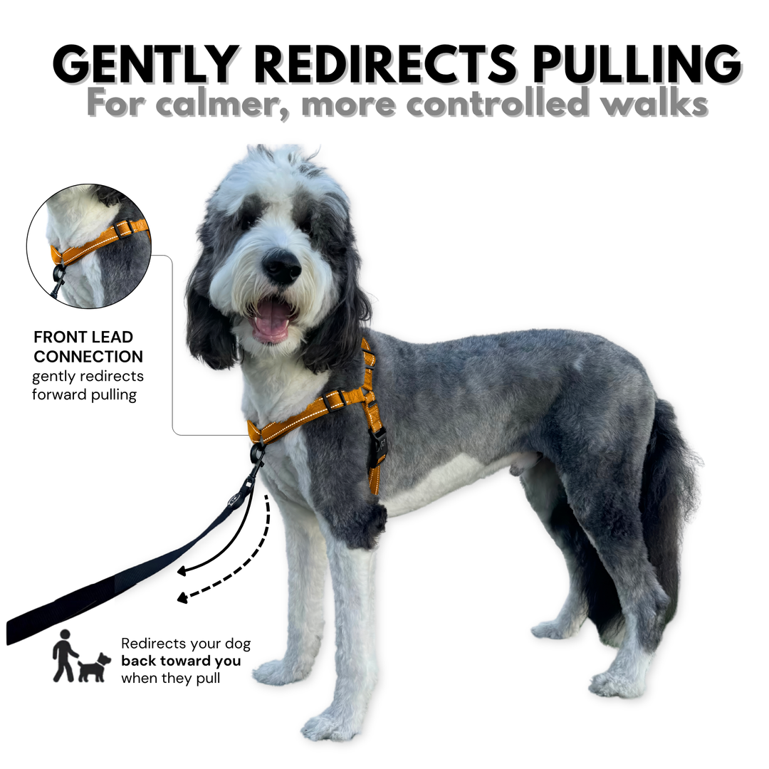 ShawnCo Dream Walk Pro Dog Harness