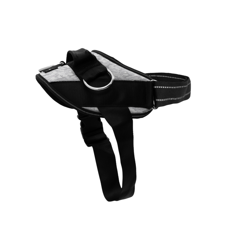 ShawnCo Essential Dog Harness