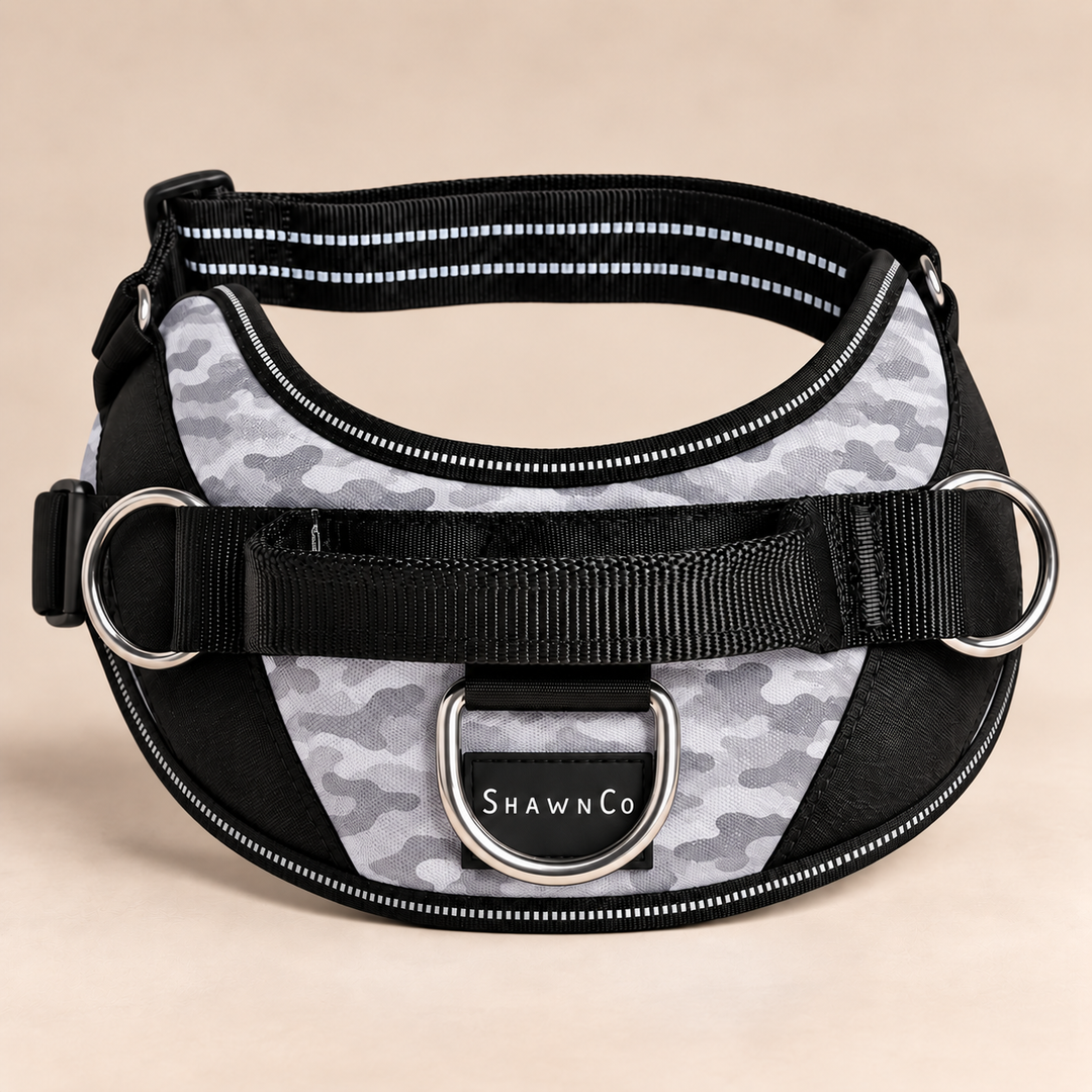 ShawnCo Essential Dog Harness