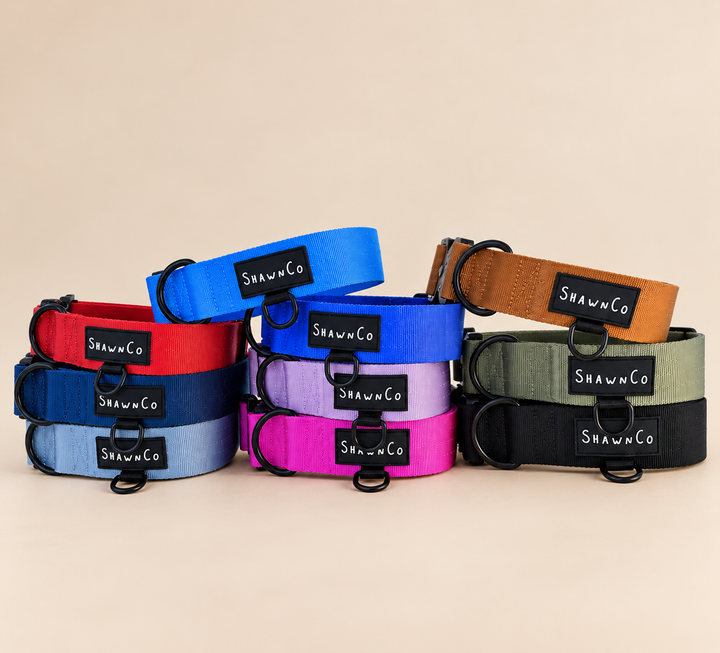 ShawnCo Basecamp Dog Collar