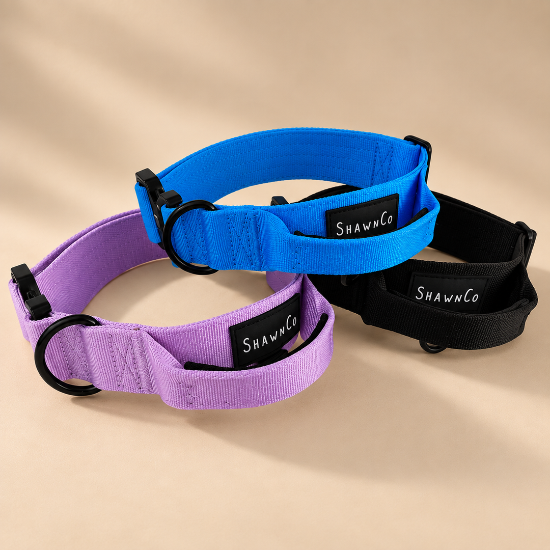 ShawnCo Basecamp Dog Collar