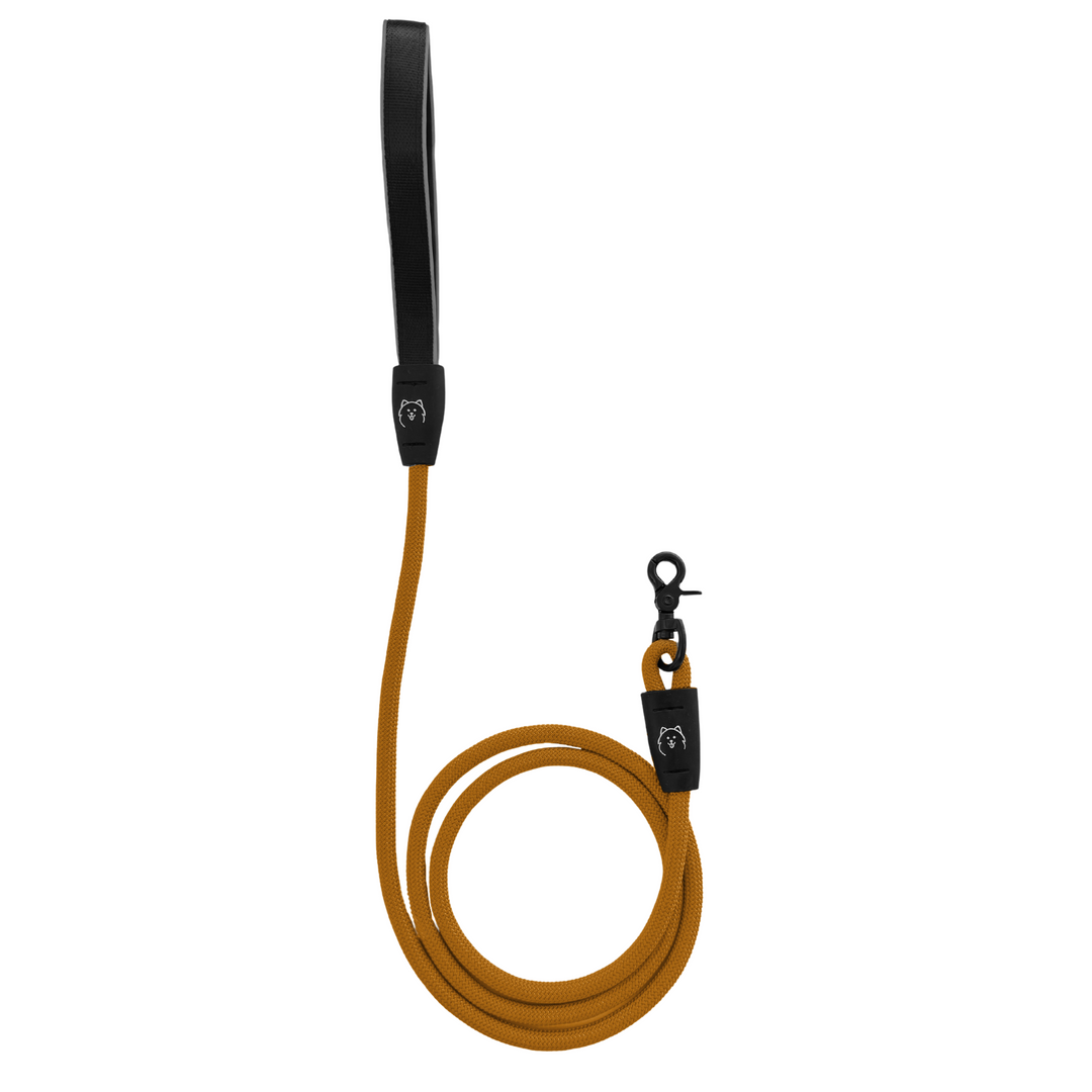 ShawnCo Basecamp Rope Dog Leash