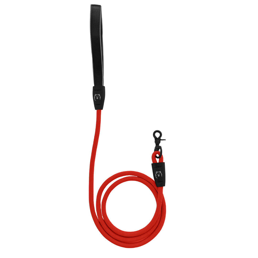 ShawnCo Basecamp Rope Dog Leash