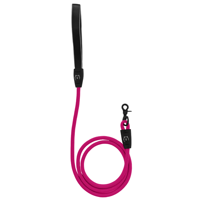 ShawnCo Basecamp Rope Dog Leash