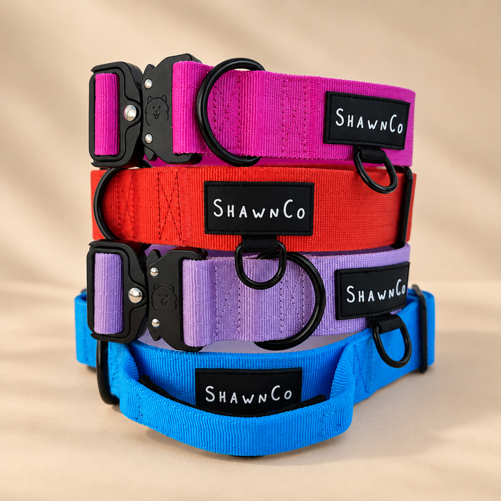ShawnCo Basecamp Dog Collar