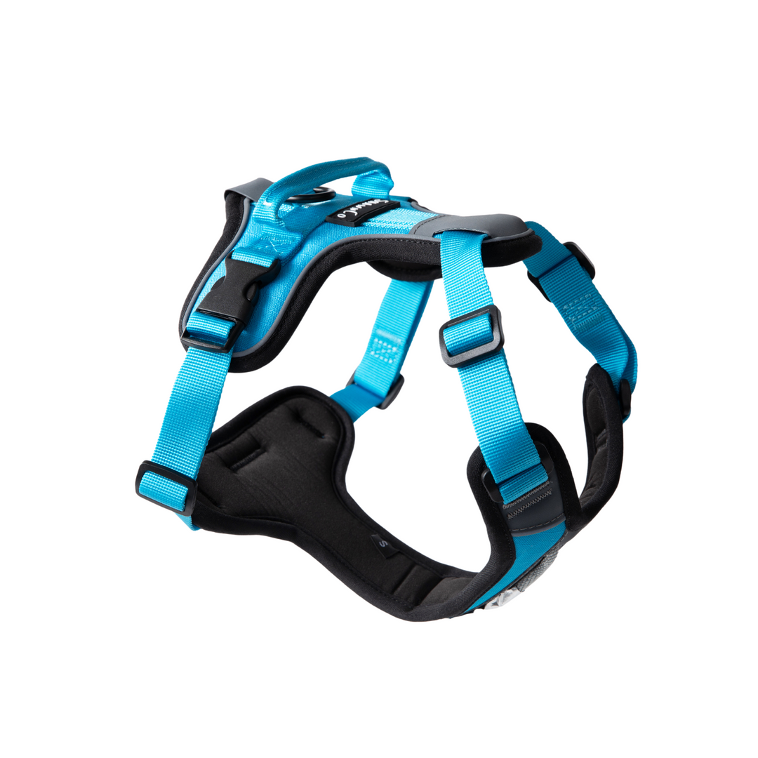 ShawnCo Basecamp Dog Harness