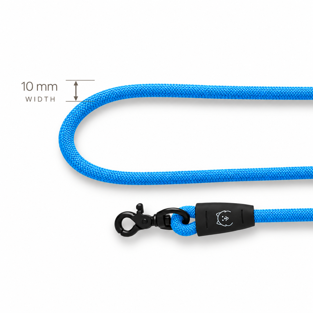ShawnCo Basecamp Rope Dog Leash