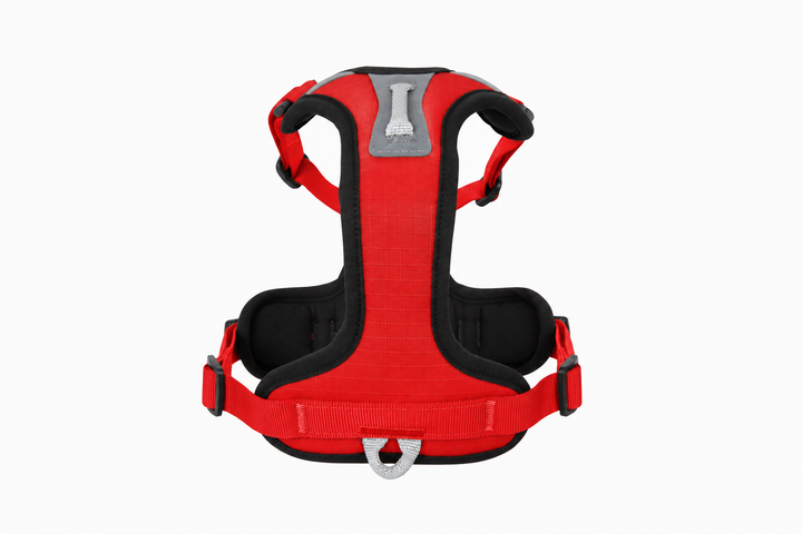 ShawnCo Basecamp Dog Harness