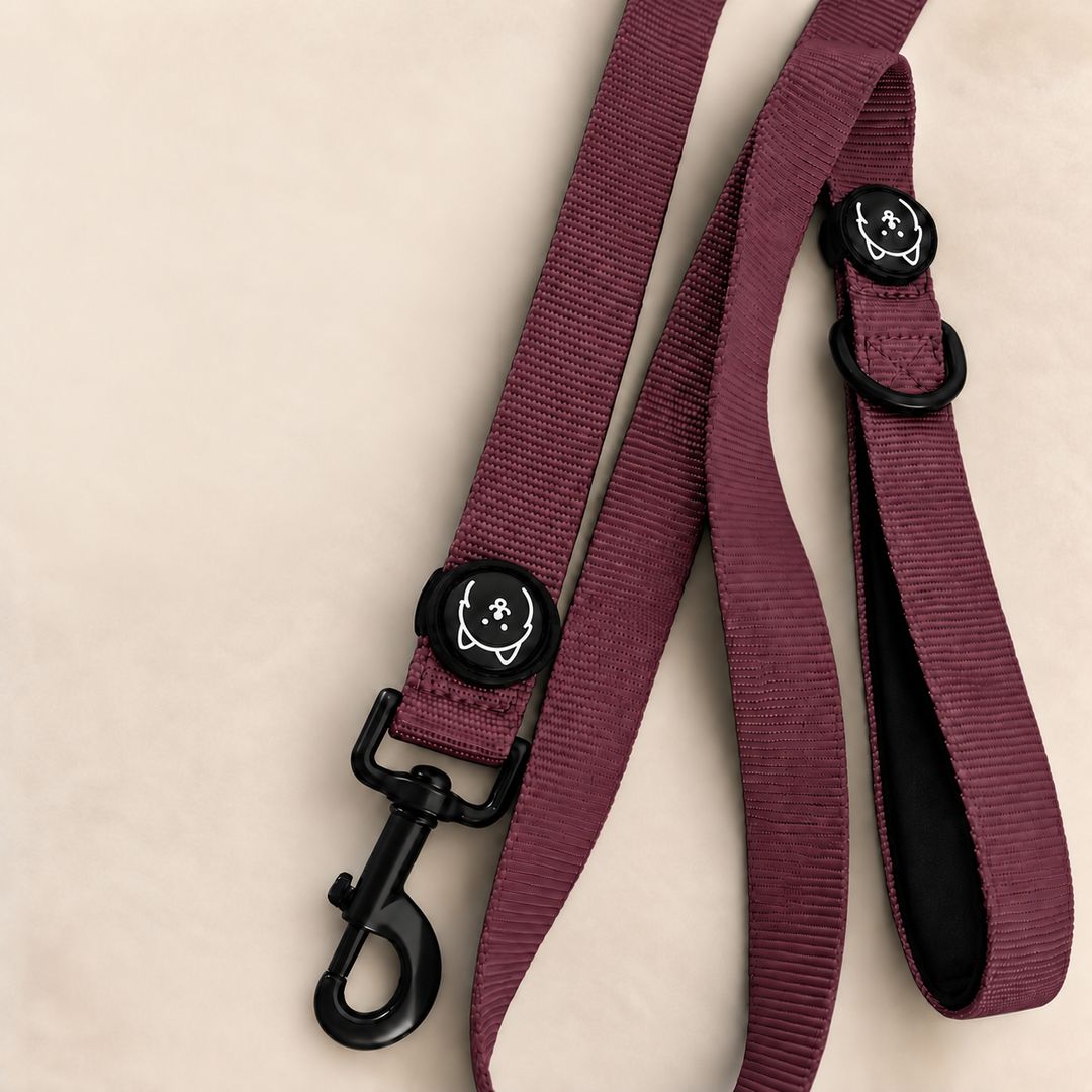 ShawnCo Dream Walk Dog Leash