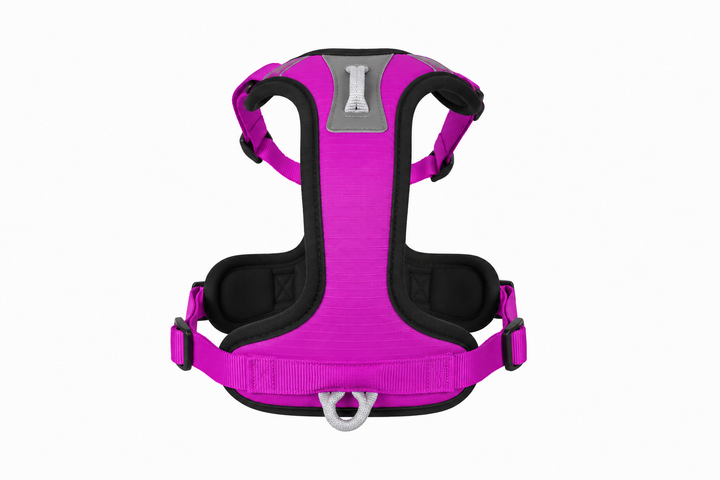 ShawnCo Basecamp Dog Harness