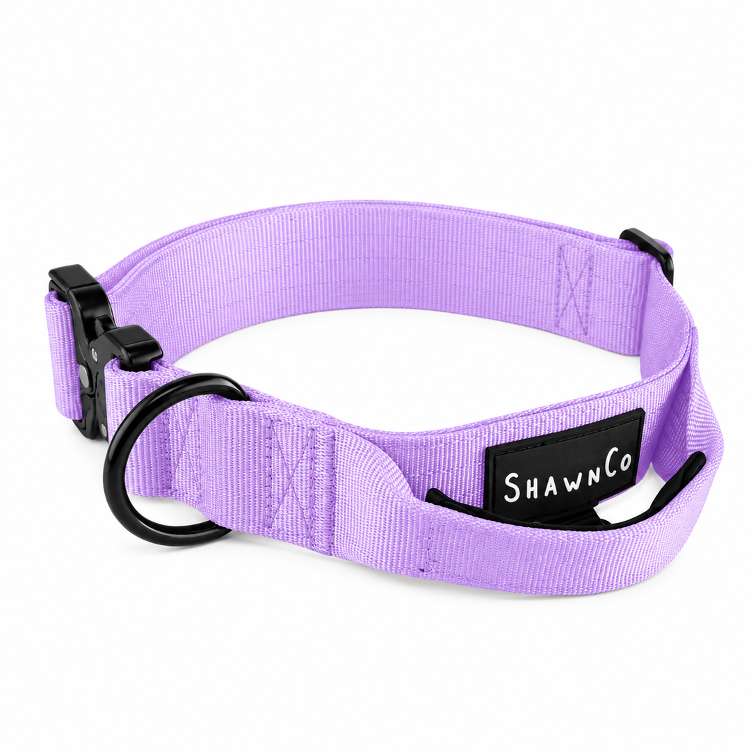 ShawnCo Basecamp Dog Collar
