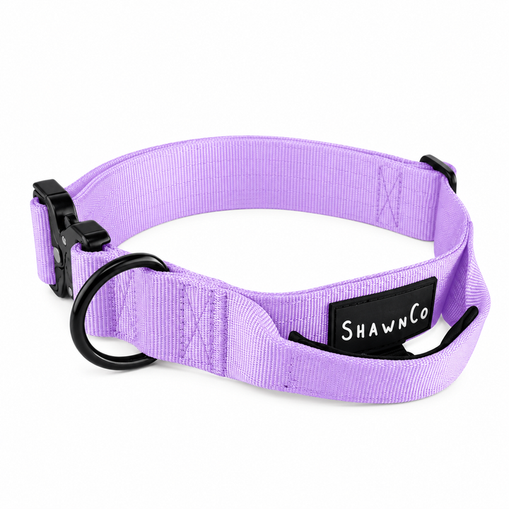 ShawnCo Basecamp Dog Collar