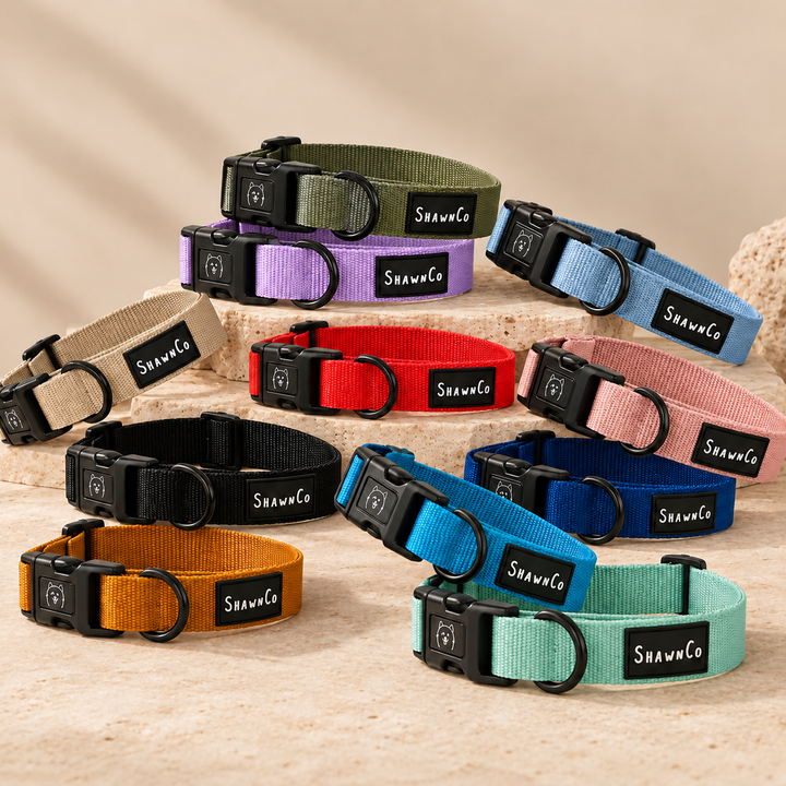 ShawnCo Dream Walk Dog Collar