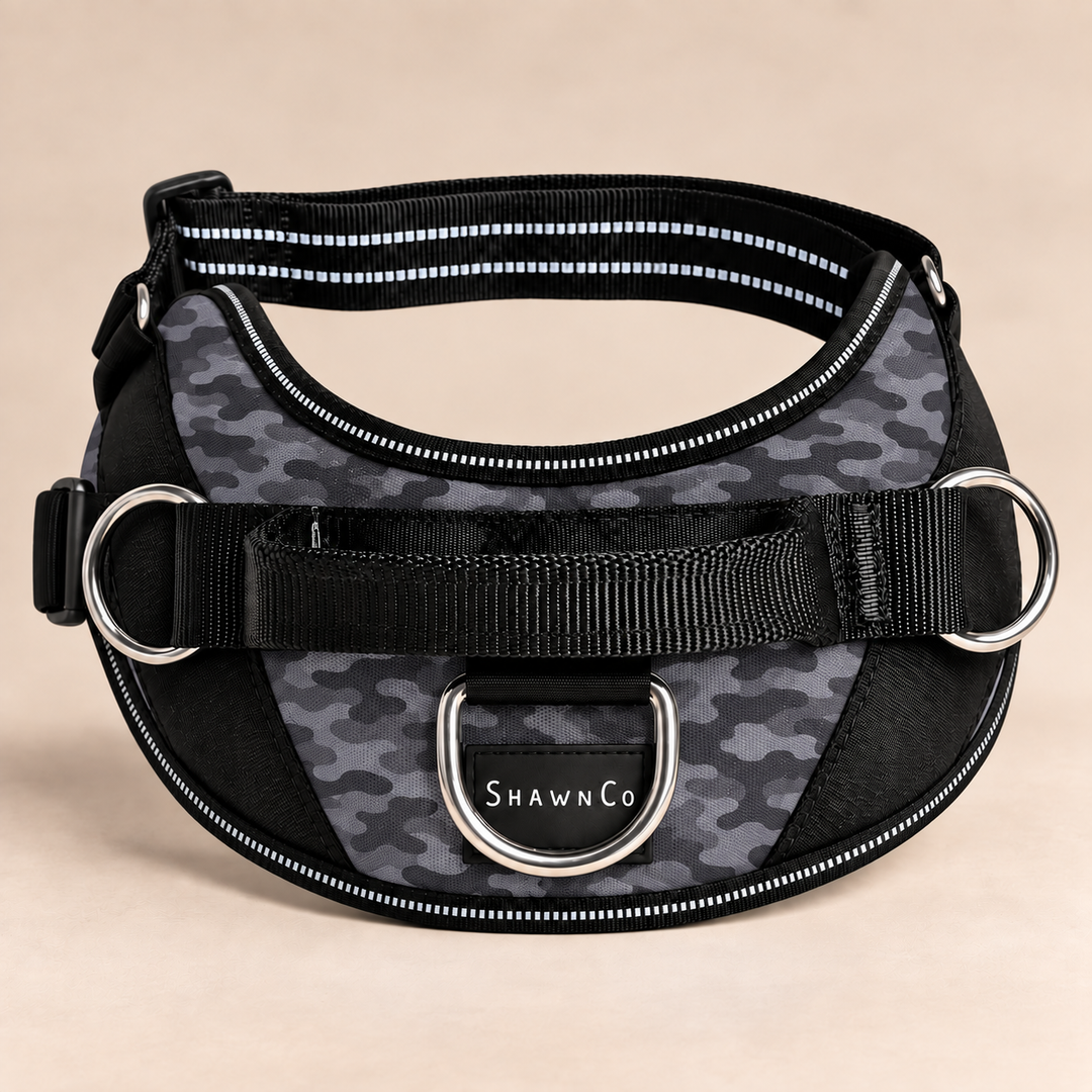 ShawnCo Essential Dog Harness