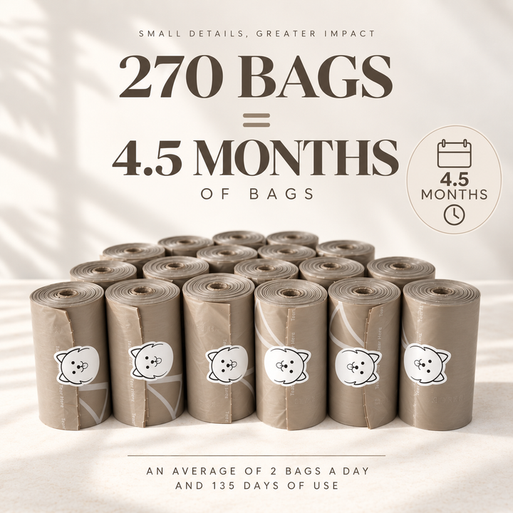 ShawnCo Dream Bag&