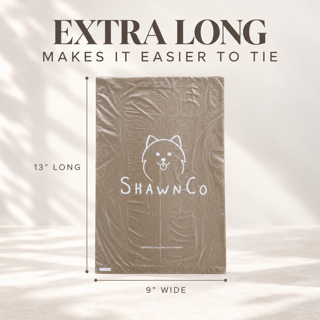 ShawnCo Dream Bag&