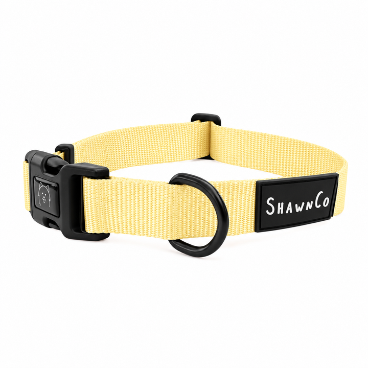ShawnCo Dream Walk Dog Collar