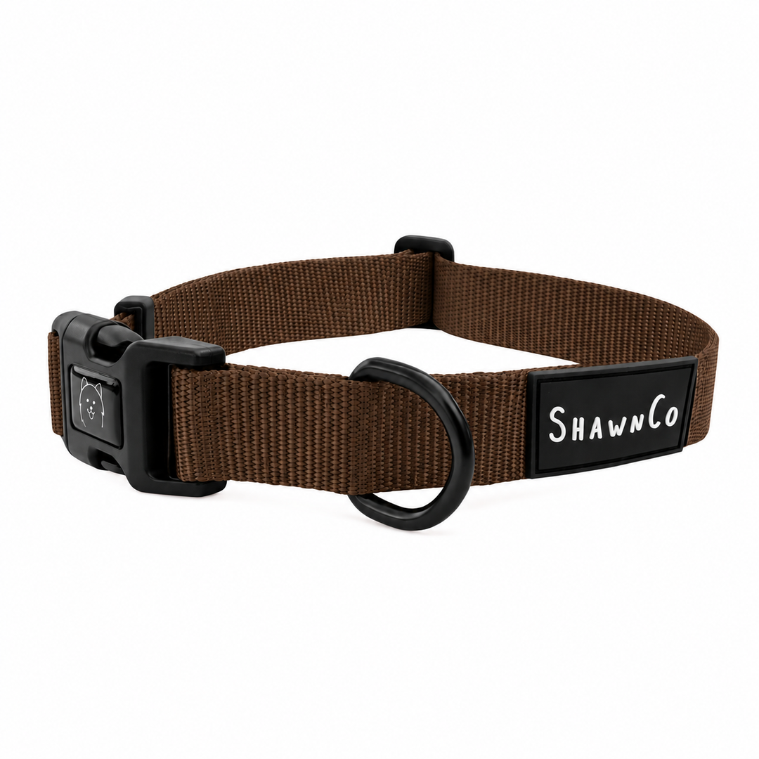ShawnCo Dream Walk Dog Collar