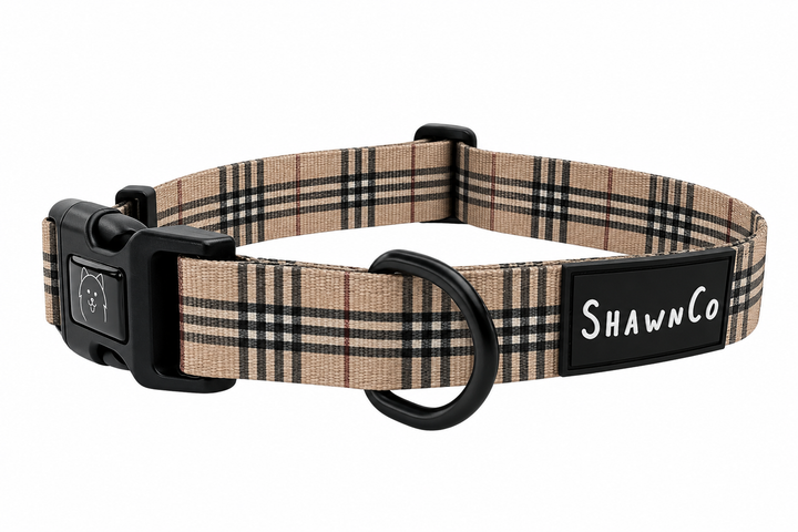 ShawnCo Dream Walk Dog Collar