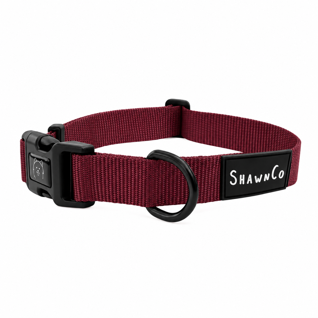 ShawnCo Dream Walk Dog Collar