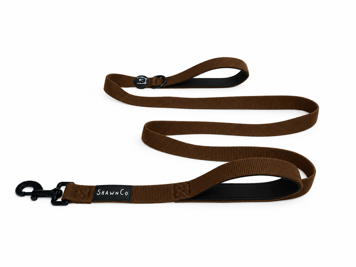 ShawnCo Dream Walk Dog Leash