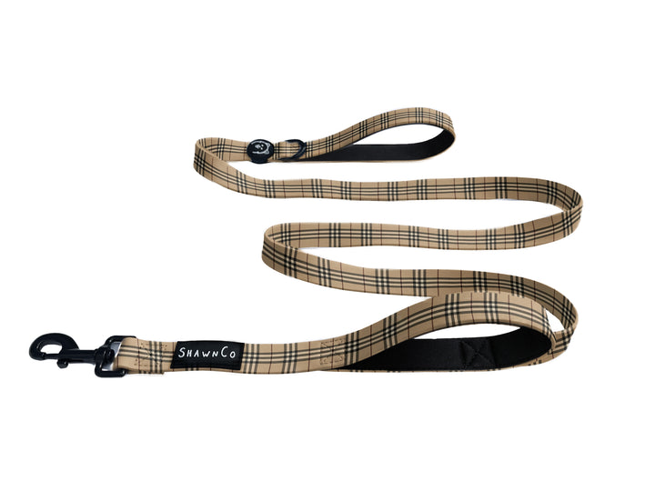 ShawnCo Dream Walk Dog Leash