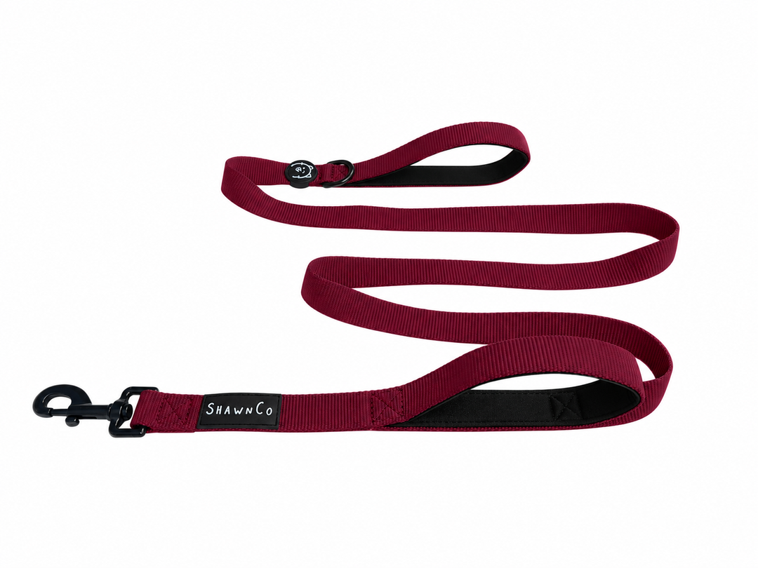 ShawnCo Dream Walk Dog Leash