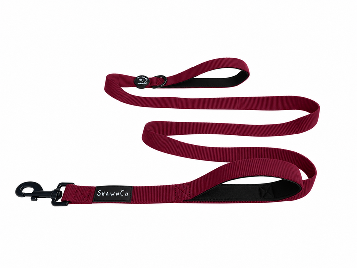 ShawnCo Dream Walk Dog Leash