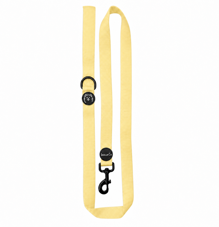 ShawnCo Dream Walk Dog Leash