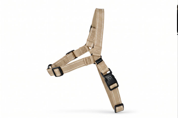 ShawnCo Dream Walk Pro Dog Harness
