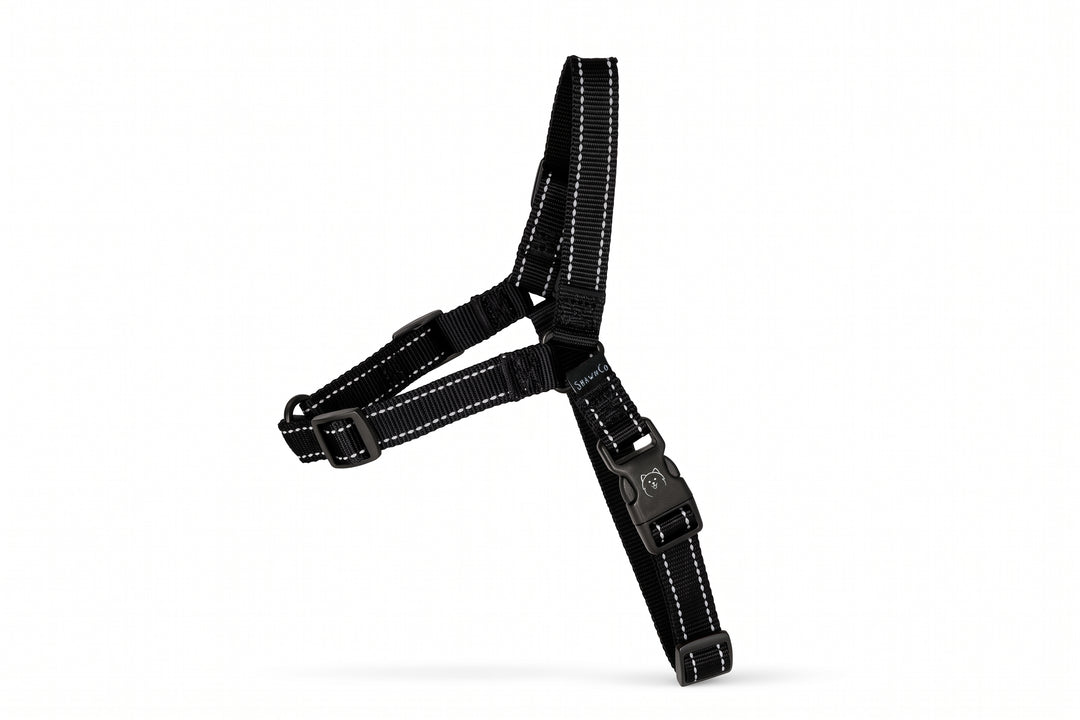 ShawnCo Dream Walk Pro Dog Harness