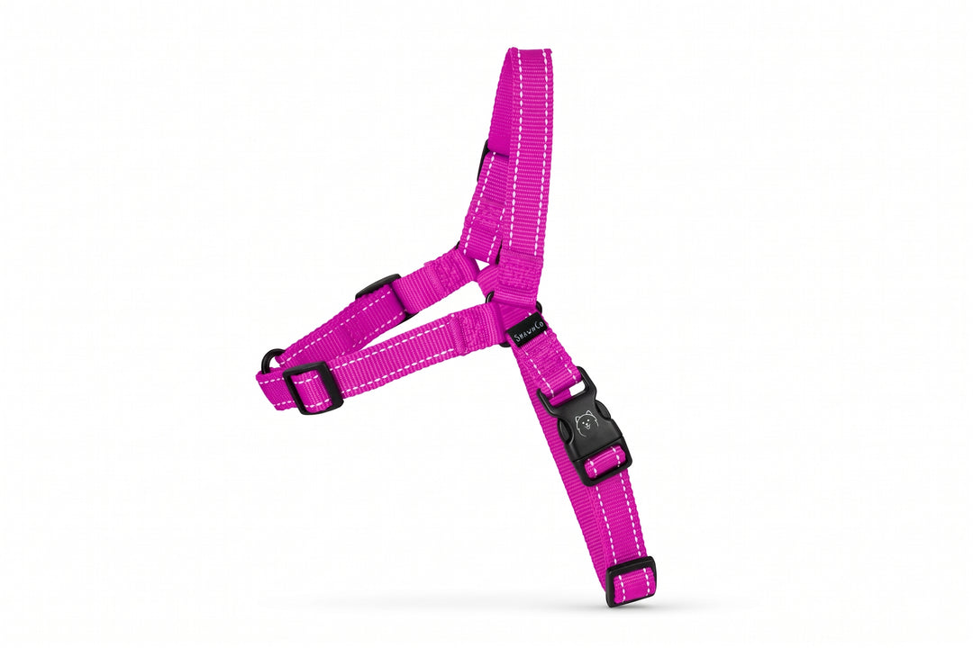 ShawnCo Dream Walk Pro Dog Harness