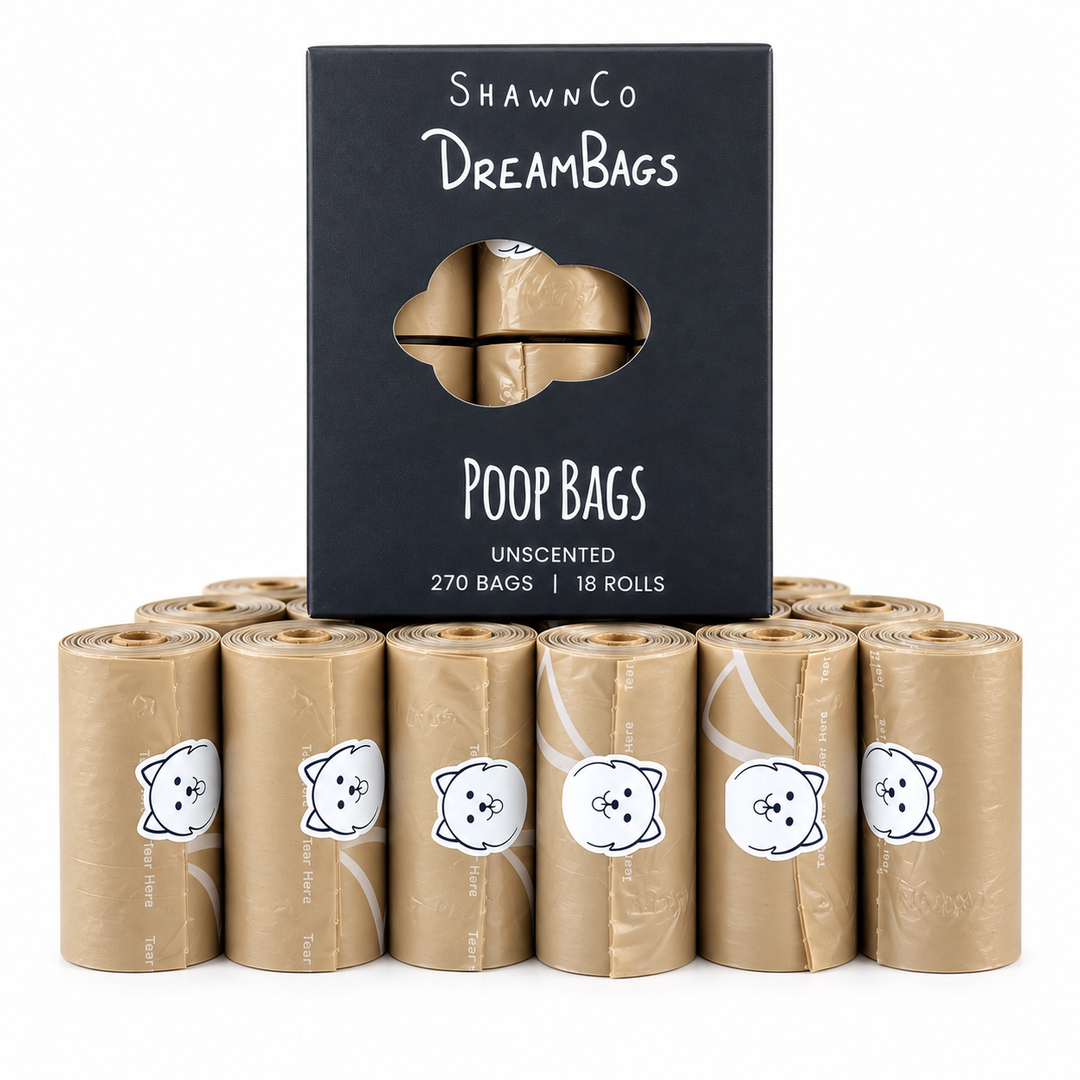 ShawnCo Dream Bag&