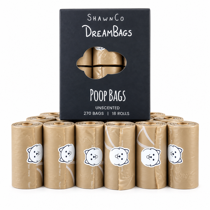 ShawnCo Dream Bag&