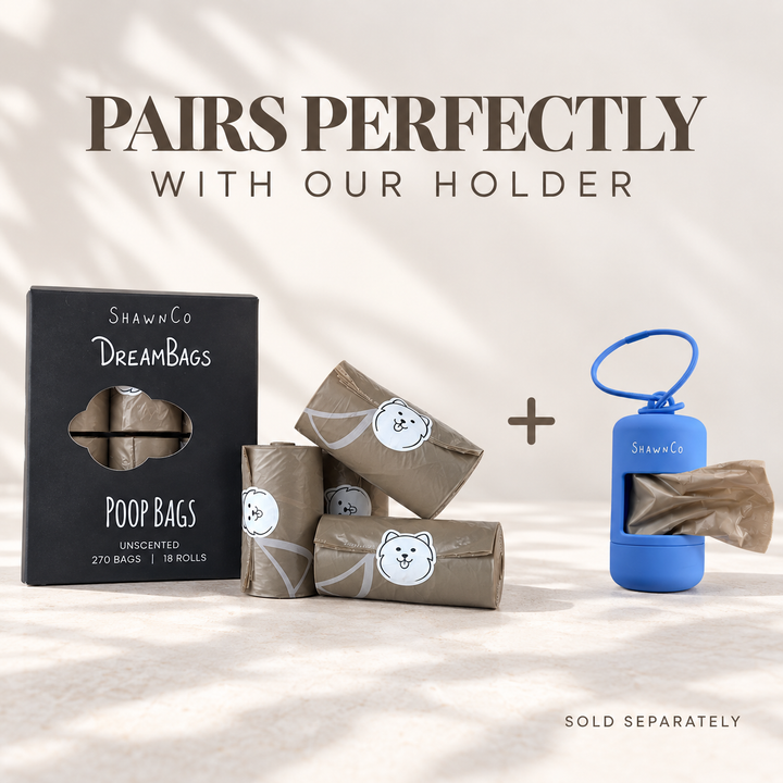 ShawnCo Dream Bag&
