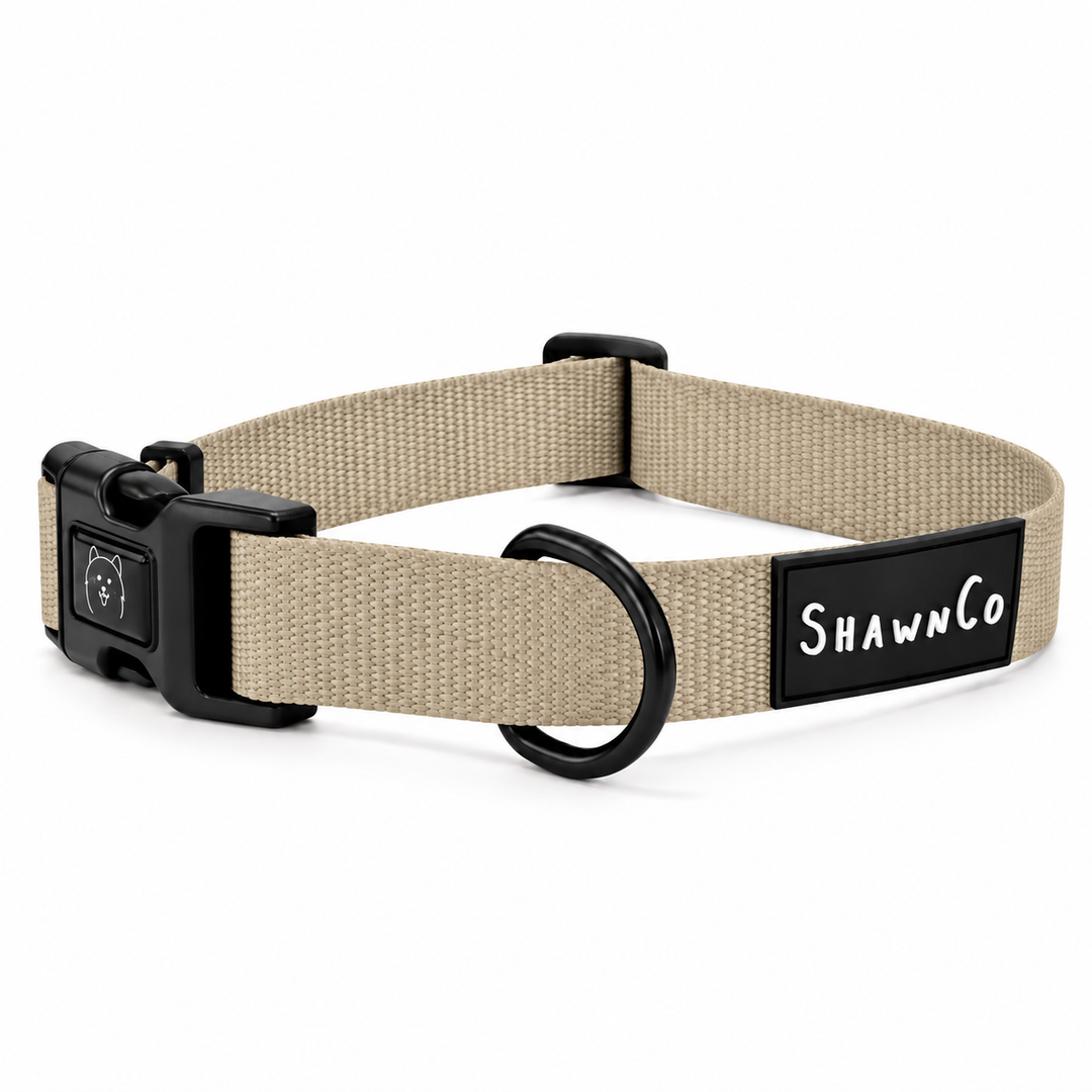 ShawnCo Dream Walk Dog Collar