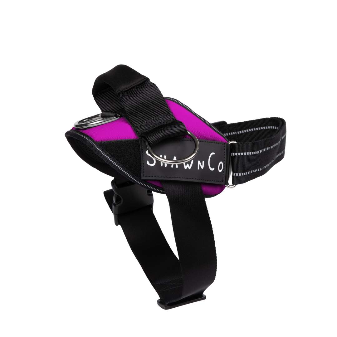 ShawnCo Essential Pro Dog Harness