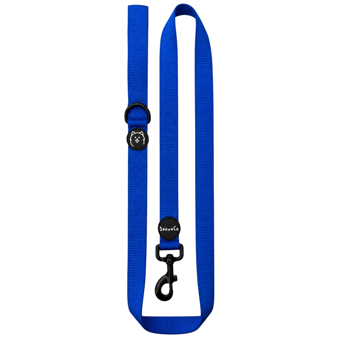 ShawnCo Dream Walk Dog Leash