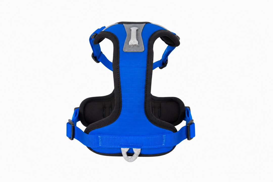 ShawnCo Basecamp Dog Harness