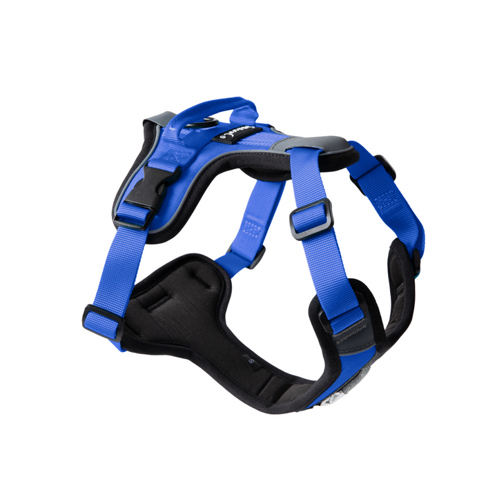 ShawnCo Basecamp Dog Harness