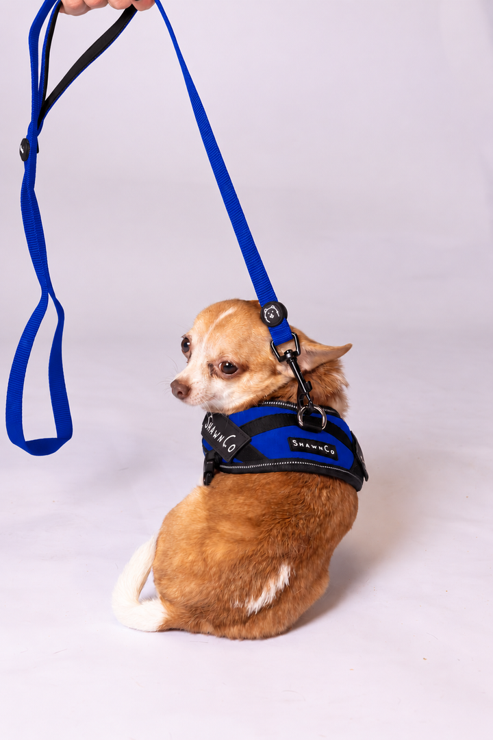 ShawnCo Dream Walk Dog Leash